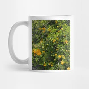 Yellow Flowers Mug